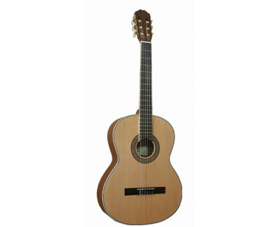 Гитара Maxwood MCS 6562 - 13987 за 0 грн. | 4Club